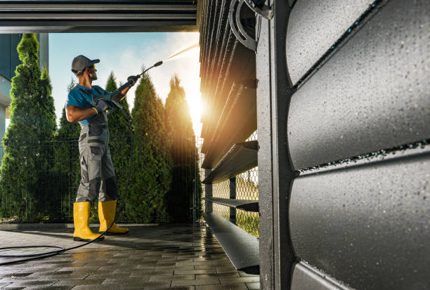 Best Dumpster Area Cleaning  in Vista, CA